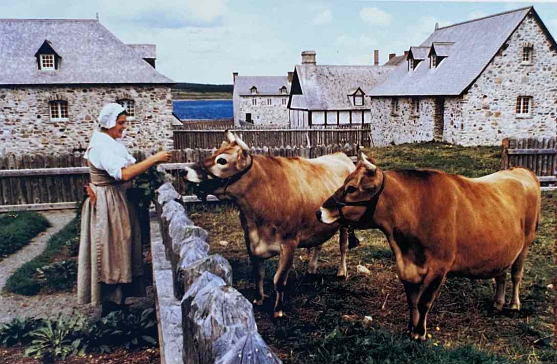 Courtepointe_avec_Thérèse_Bellemare_2003 Thérèse Bellemare-Bastrash présentant la courtepointe illustrant l'histoire des Bastrash, descendants de Jean Bastarache/Joannis Basterreche.