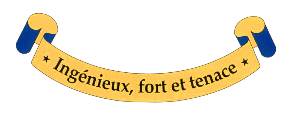 Ingénieux, fort et tenace